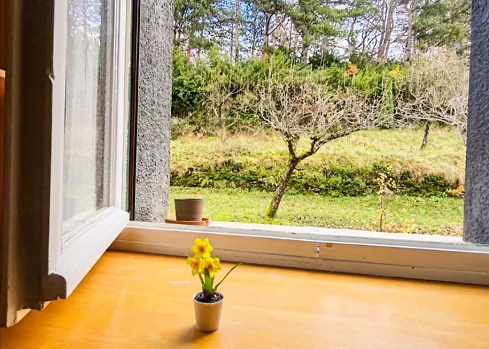 Apartment Piso En - 3 Escarrilla